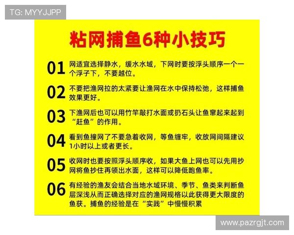 K8捕鱼网投平台安全性分析，保障玩家资金与个人信息安全的关键措施